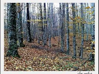 招待所 圣伯纳特旅馆