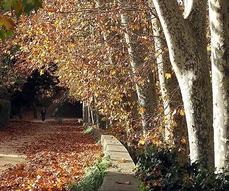 招待所 圣伯纳特旅馆 奥洛特