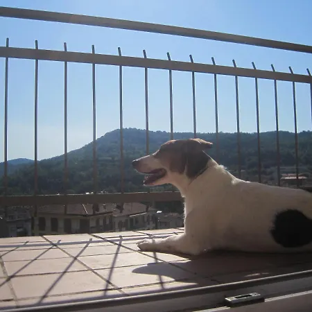 Guest house Sant Bernat Olot