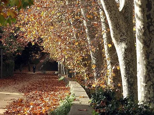 Guest house Sant Bernat Olot